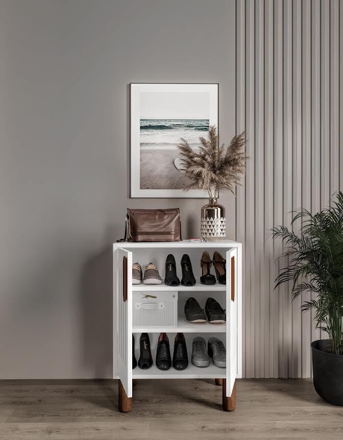 Aslan Mini Askılıklı Ayakkabılık Ve Çok Amaçlı Dolap