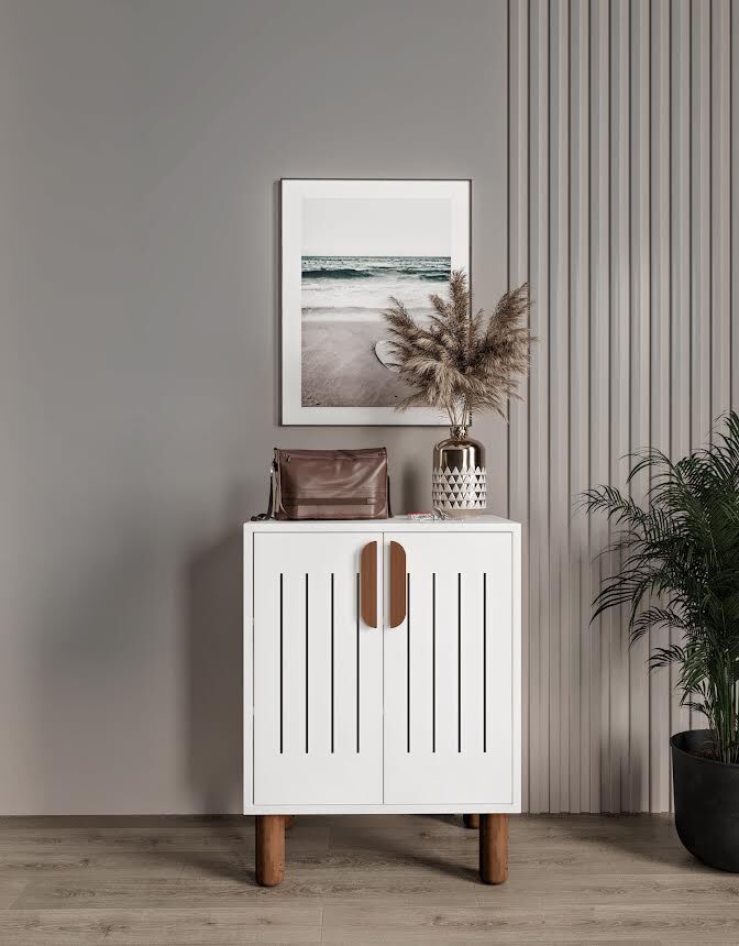 Aslan Mini Askılıklı Ayakkabılık Ve Çok Amaçlı Dolap